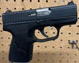 KAHR ARMS PM9 9MM LUGER (9X19 PARA) - 4 of 6