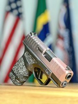 SPRINGFIELD ARMORY HELLCAT - 1 of 7