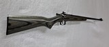 KEYSTONE SPORTING ARMS Cricket .22 LR - 4 of 7