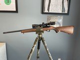 Ruger 10/22 Light Varmint Target - 1 of 1