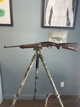 RUGER 10/22 .22 LR - 1 of 1