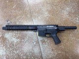 PALMETTO STATE ARMORY PA-15 .223 REM/5.56 NATO - 1 of 5