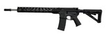 PALMETTO STATE ARMORY pa-15 .223 WYLDE - 1 of 7