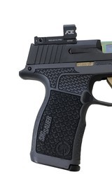 SIG SAUER P365XL 9MM LUGER (9X19 PARA) - 5 of 7