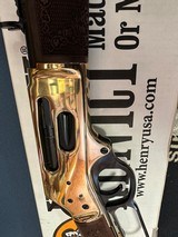 HENRY SIDE GATE - 3 of 4