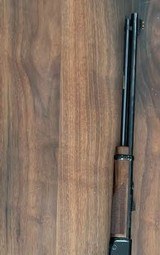 HENRY H001V Varmit Express 17HMR - 2 of 3