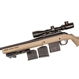 AMERICAN PREDATOR - 2 of 3