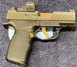 SIG SAUER P365 - 1 of 1