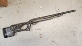 Ruger 10/22 TARGET - 1 of 7