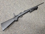 REMINGTON 700 - 1 of 1