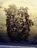 REMINGTON 878 AUTOMASTER 12 GA - 2 of 8