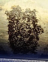 REMINGTON 878 AUTOMASTER 12 GA - 8 of 8