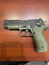 SIG SAUER MOSQUITO .22
LR - 1 of 4