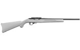 RUGER 10/22 CARBINE .22 LR - 2 of 2