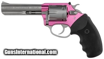 CHARTER ARMS TARGET PATHFINDER LITE .22 LR - Image 3 of 3