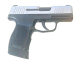 SIG SAUER p365 9MM LUGER (9X19 PARA) - 5 of 6