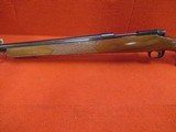 WINCHESTER Model 70 Deluxe (Engraved Stock) .243 WIN - 6 of 7