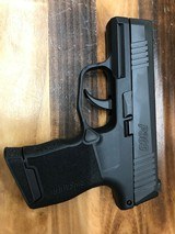 SIG SAUER P365 NITRON - 1 of 7