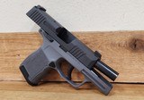 SIG SAUER P365 Manual Safety - Gray Frame - 6 of 6