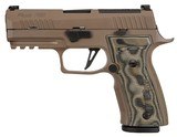 SIG SAUER P320 AXG SCORPION 9MM LUGER (9X19 PARA) - 1 of 1