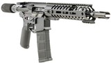 PATRIOT ORDNANCE FACTORY RENEGADE + .300 AAC BLACKOUT - 3 of 3