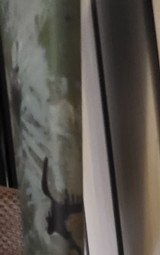 RUGER ruger american - 4 of 6