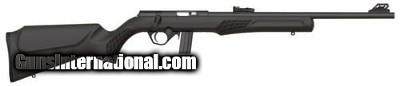 ROSSI RB22L .22 LR