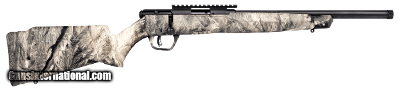 SAVAGE ARMS B17 FV-SR OVERWATCH .17 HMR