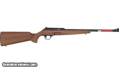 WINCHESTER WILDCAT .22 LR