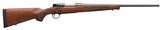 WINCHESTER MODEL 70 6.8 WESTERN - 1 of 1
