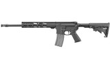 RUGER AR-556 .300 AAC BLACKOUT