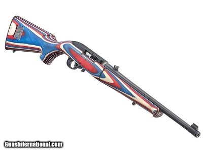 RUGER 10/22 TEAM USA TAKEDOWN .22 LR