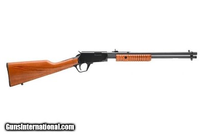 ROSSI GALLERY .22 LR