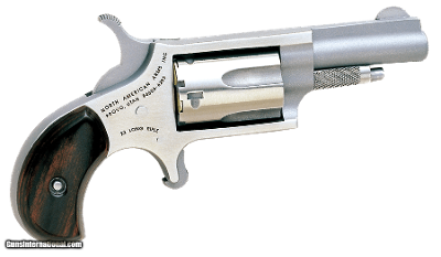NORTH AMERICAN ARMS 22LR .22 LR