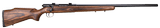 SAVAGE ARMS 25 .17 HORNET - 1 of 1