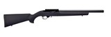 RUGER 10/22 .22 LR - 1 of 1