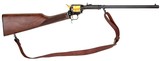 HERITAGE MFG. ROUGH RIDER RANCHER .22 LR