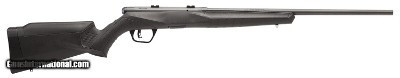 SAVAGE B17 .17 HMR