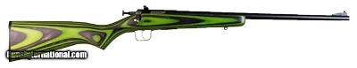 Keystone Crickett .22 LR