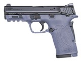 SMITH AND WESSON M&P380 .380 ACP