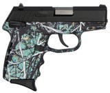 SCCY INDUSTRIES CPX-19MM LUGER (9X19 PARA) - 1 of 1