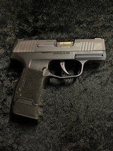 SIG SAUER P365 9MM LUGER (9X19 PARA) - 2 of 3