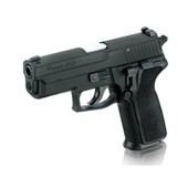 SIG SAUER P229 9MM LUGER (9X19 PARA) - 1 of 1