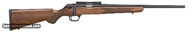 SPRINGFIELD MODEL 2020 RIMFIRE (AA) .22 LR