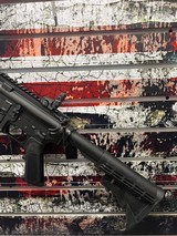 PALMETTO STATE ARMORY AR-15 .223 REM/5.56 NATO - 2 of 3