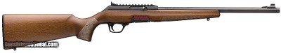 WINCHESTER WILDCAT SPORTER .22 LR