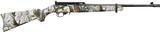RUGER 10/22 CARBINE COLLECTOR SERIES .22 LR - 1 of 1