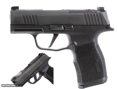 SIG SAUER P365X 9MM LUGER (9X19 PARA)
