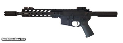 PALMETTO STATE ARMORY PA-15 MULTI