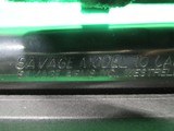 SAVAGE ARMS MODEL 10 SYNTHETIC .243 WIN - 3 of 3